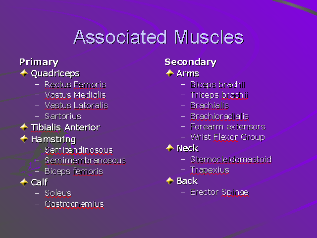 Associated Muscles
